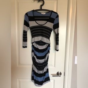 Ripe maternity nursing dress